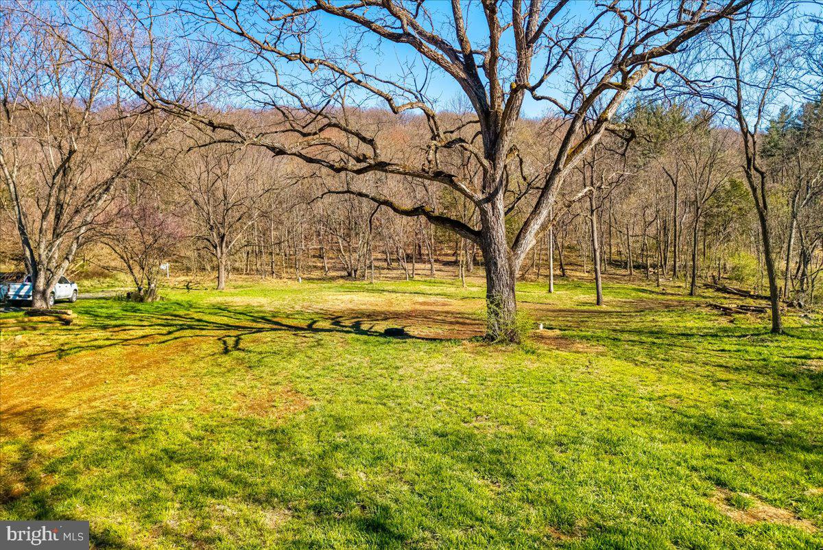 19133 Geeting Road Keedysville, MD 21756 - Photo 8 of 31