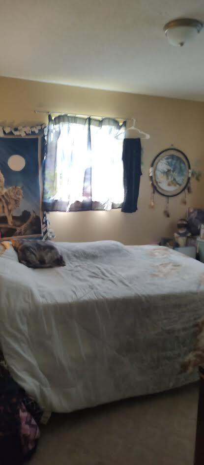 277 Cemetery Road Spring City, TN 37381 - Photo 11 of 16 11