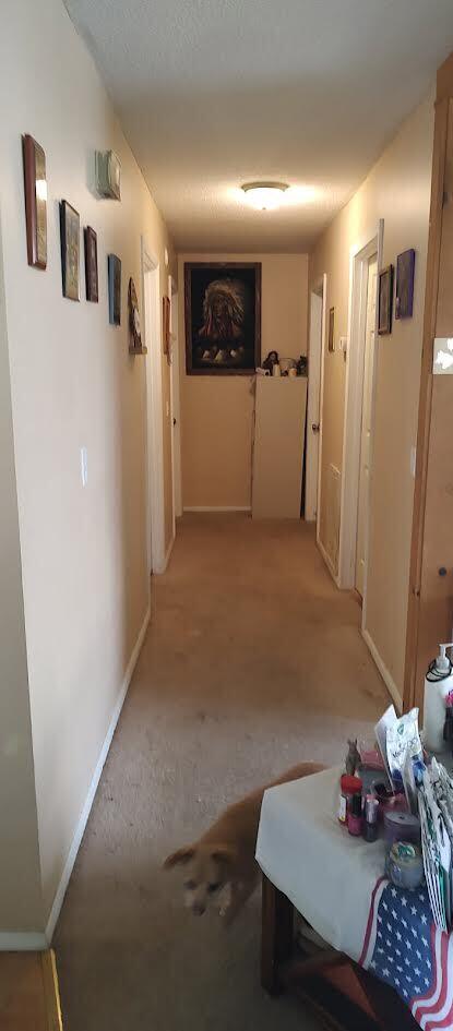 277 Cemetery Road Spring City, TN 37381 - Photo 13 of 16 13