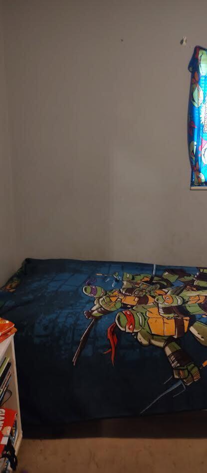 277 Cemetery Road Spring City, TN 37381 - Photo 15 of 16 15