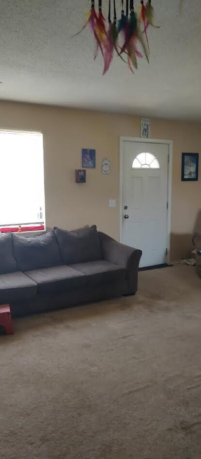 277 Cemetery Road Spring City, TN 37381 - Photo 8 of 16 8