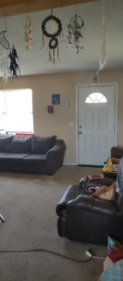 277 Cemetery Road Spring City, TN 37381 - Photo 9 of 16 9