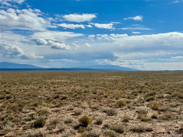 view of a dry yard with large trees