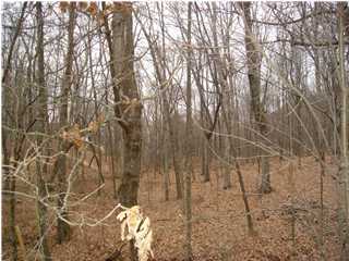 0 Healing Springs Road, Unit 3) Chattanooga, TN 37419 - Photo 1 of 2 Primary Photo
