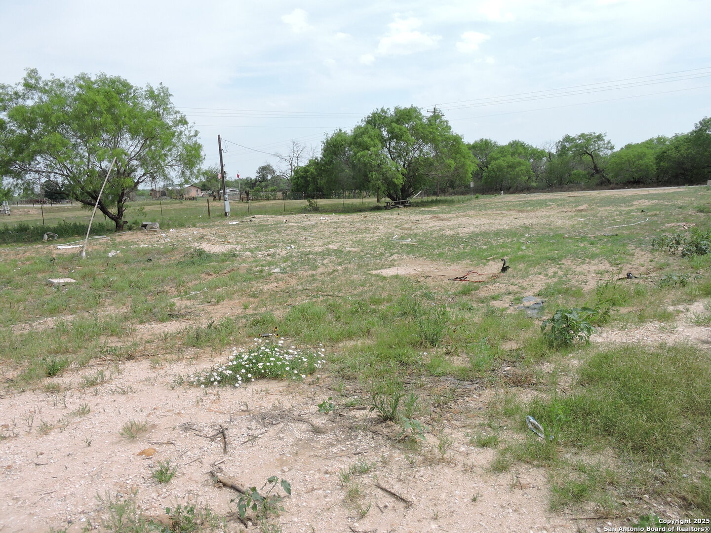 5968 Tabberer Road Poteet, TX 78065 - Photo 5 of 7 a view of a field with trees