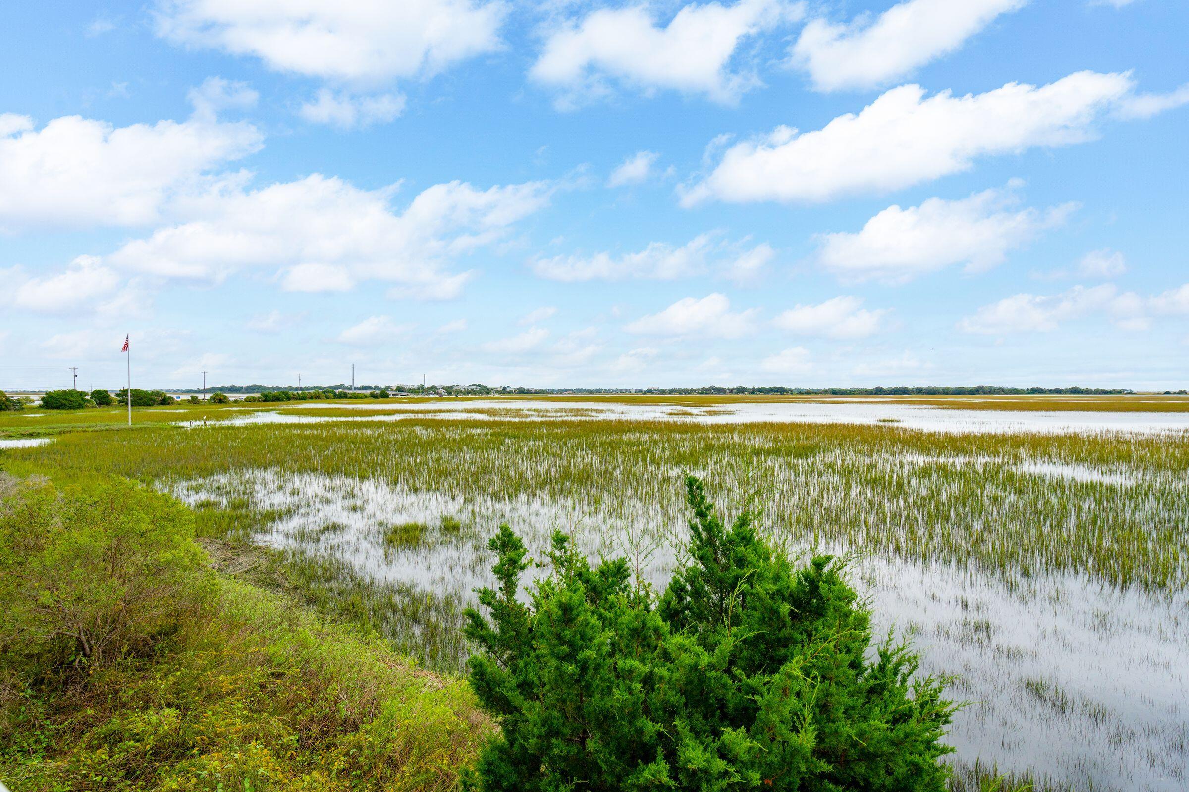 2133 Tides End Road Charleston, SC 29412 - Photo 24 of 79 View