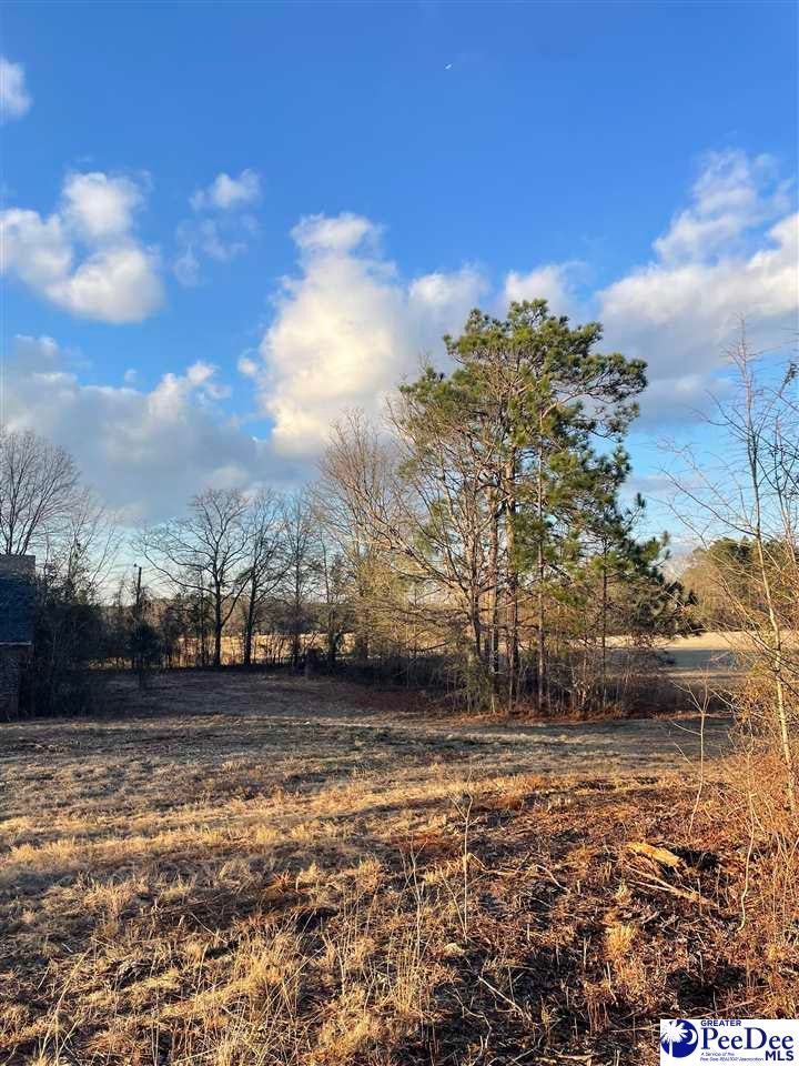 Tbd Union School Road McBee, SC 29101 - Photo 11 of 13 Gallery Image 11