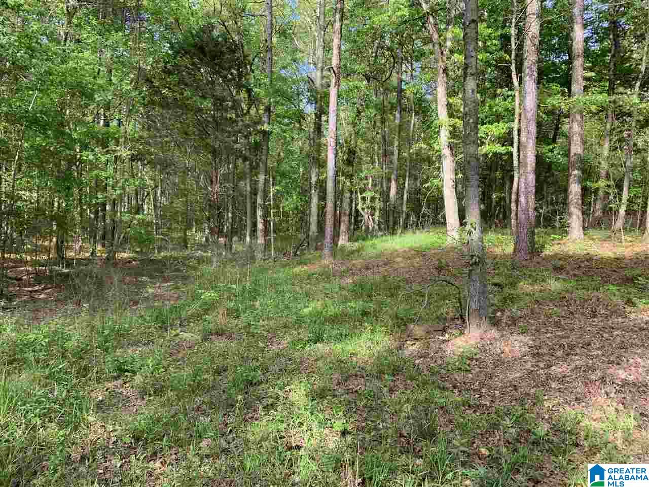 1585 Rex Lake Road, Unit 1585 Leeds, AL 35094 - Photo 6 of 16
