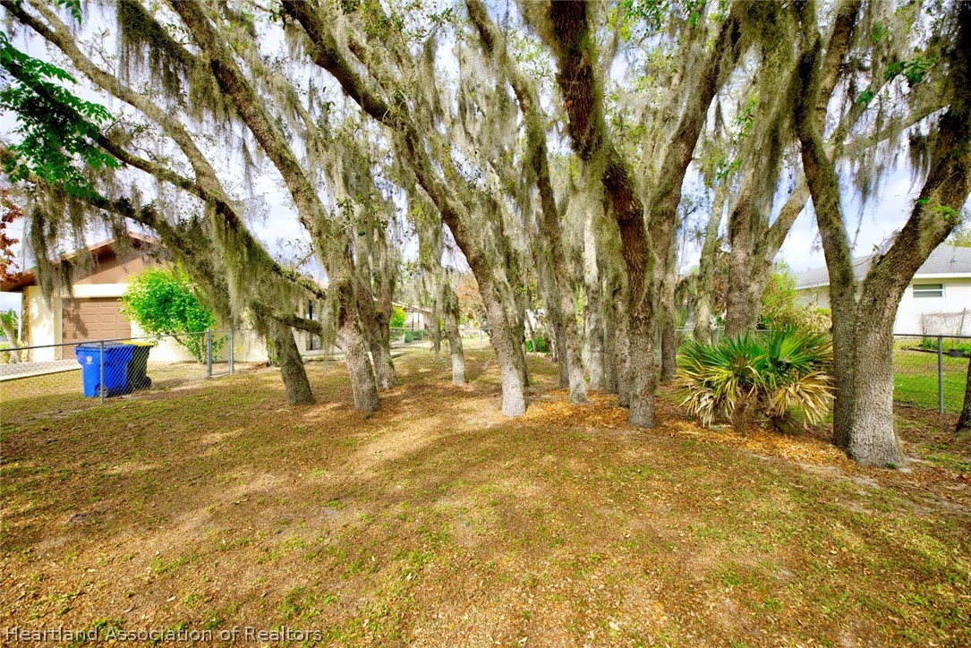 2052 West Stryker Road Avon Park, FL 33825 - Photo 42 of 45 a view of a yard with a tree