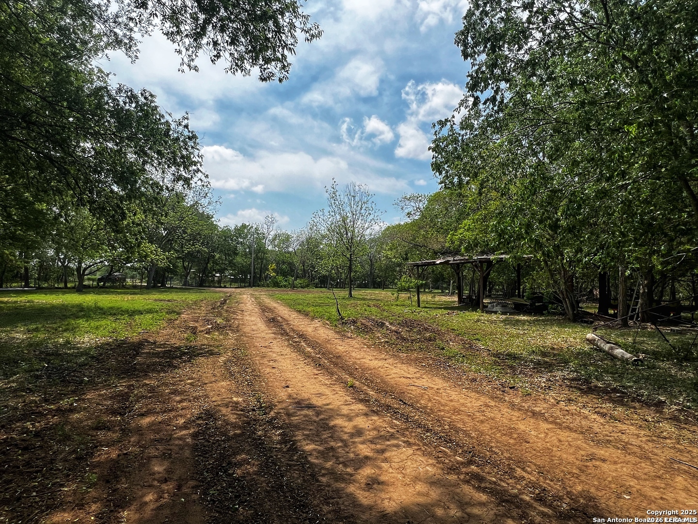 304 County Road 6611 Devine, TX 78016 - Photo 9 of 16