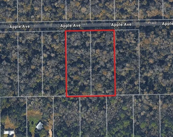 $19,950 | 3767 Apple Avenue, Bunnell, FL 32110