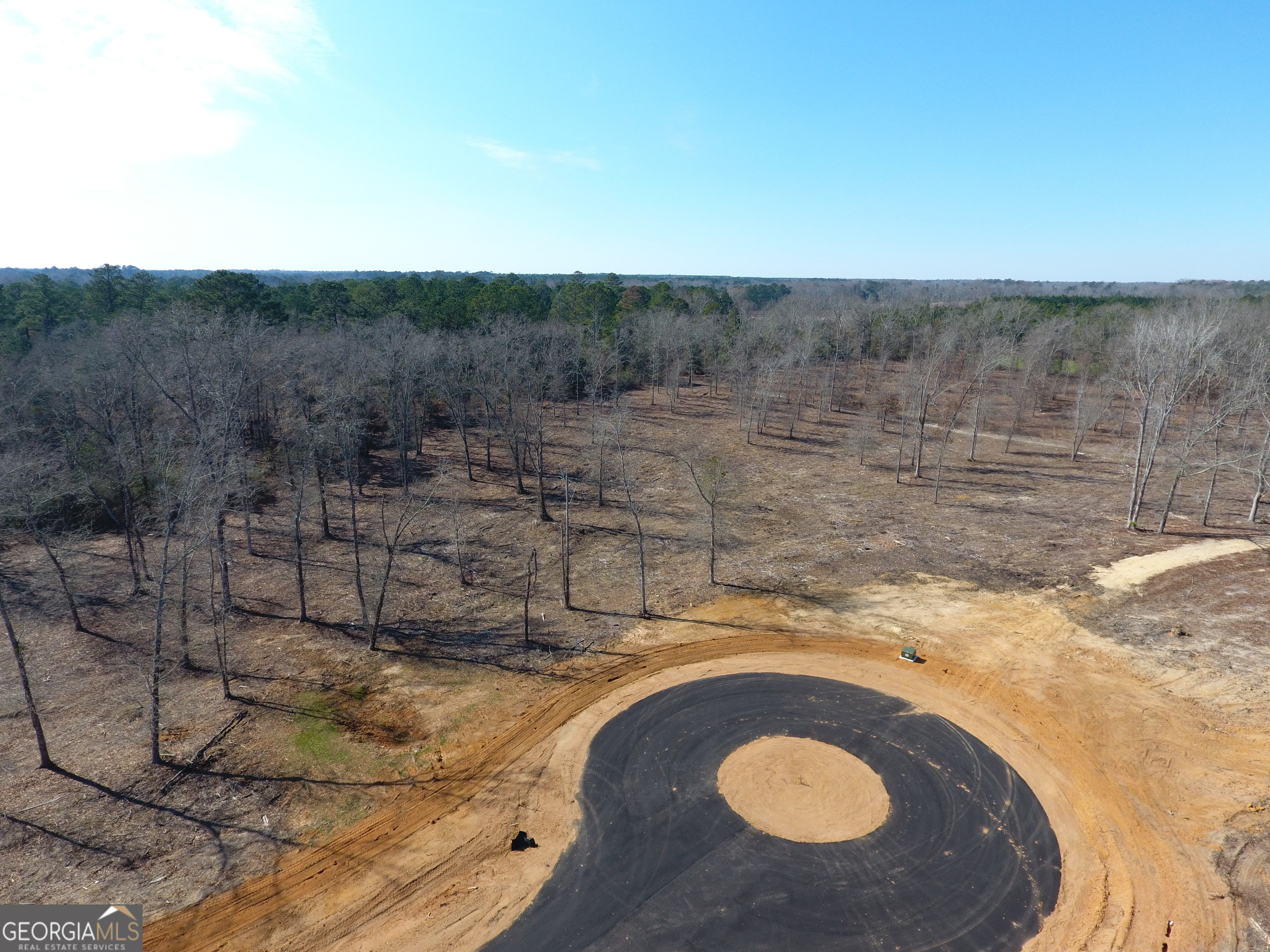 0 Holly Ridge Dublin, GA 31021 - Photo 2 of 6