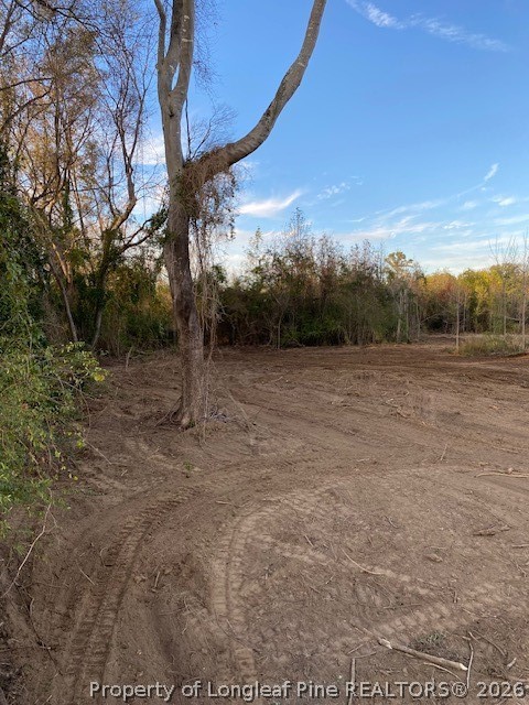 1634 Sweetie Road Fayetteville, NC 28312 - Photo 24 of 26 Pic from when cleared a few years ago