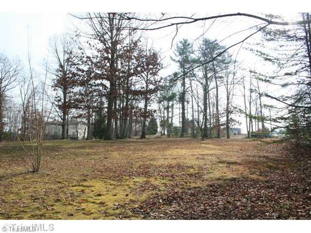 3167 Golf Course Road Spencer, VA 24165 - Photo 14 of 14 Land.