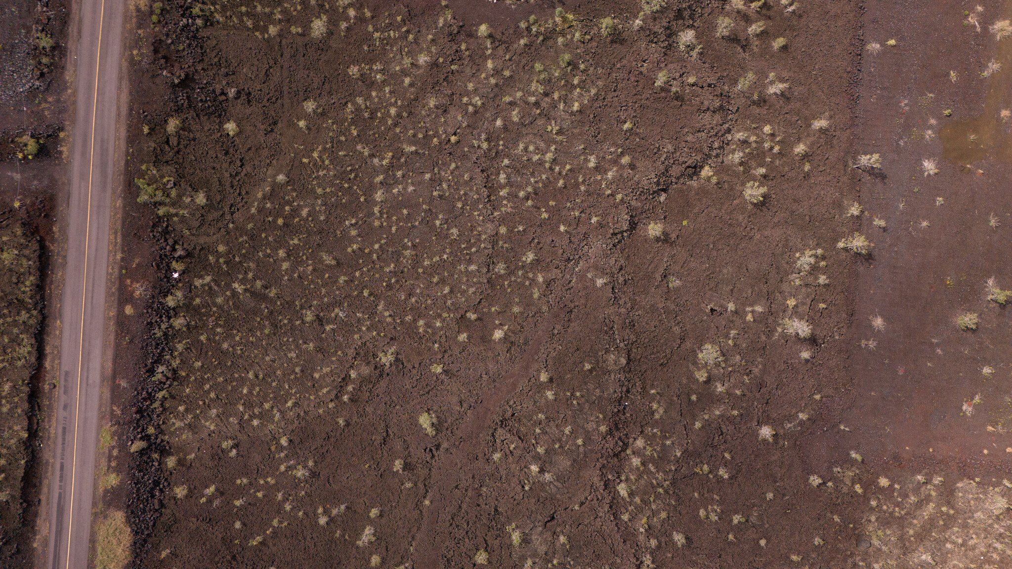 24 Lot Ocean View Ocean View, HI 96704 - Photo 19 of 30 a close up of a tree