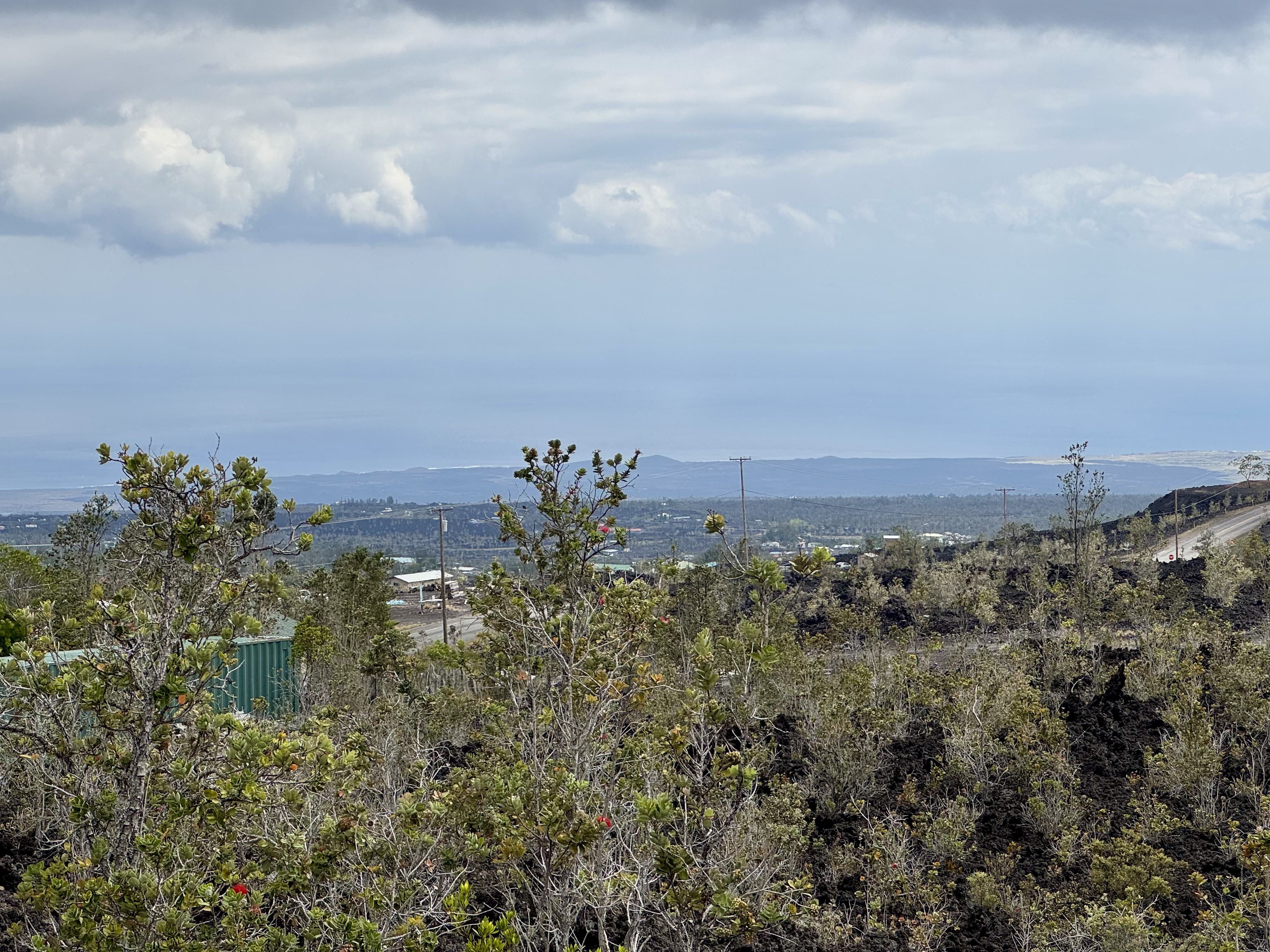 24 Lot Ocean View Ocean View, HI 96704 - Photo 6 of 30 a view of a bunch of trees