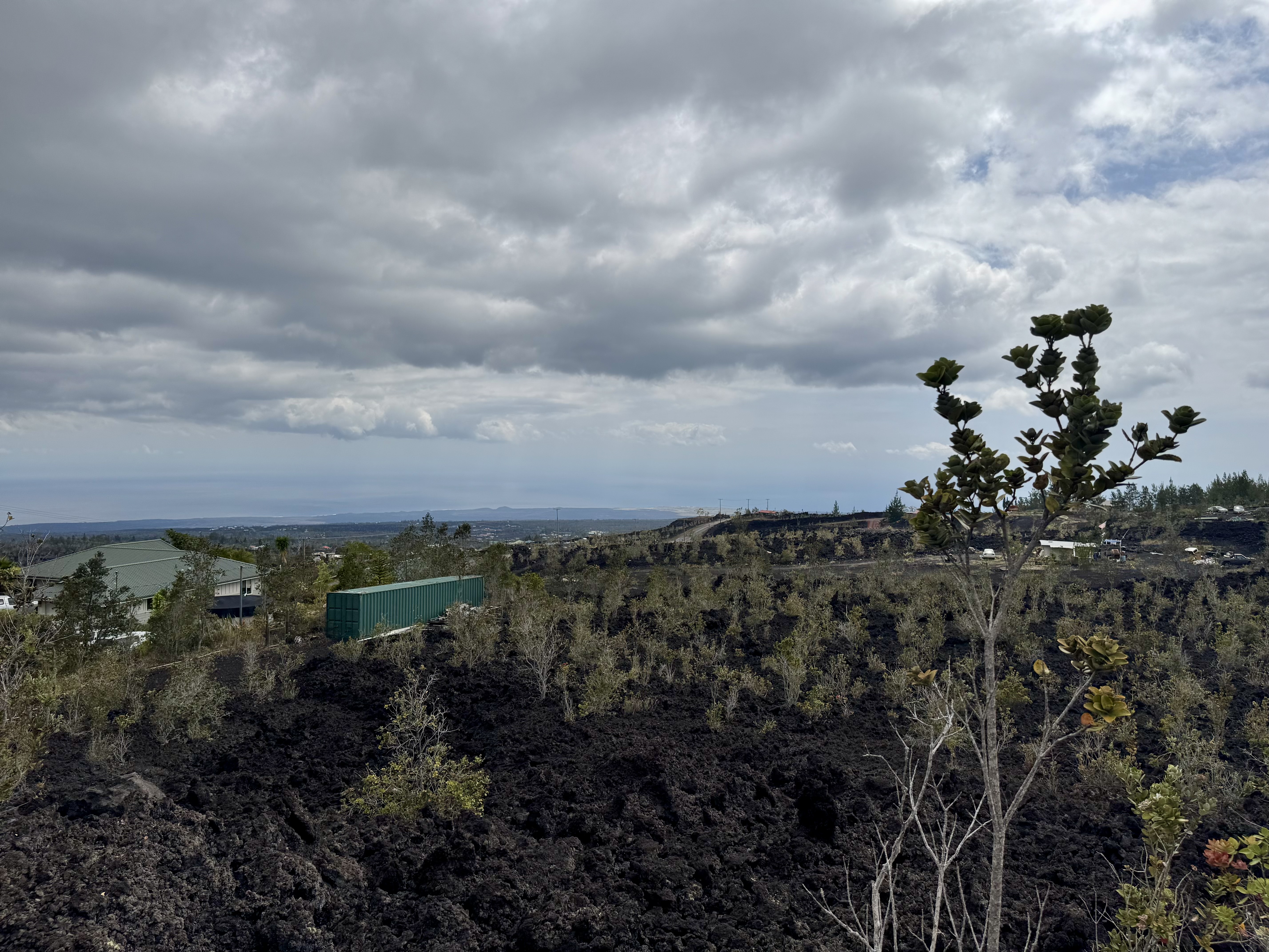 24 Lot Ocean View Ocean View, HI 96704 - Photo 7 of 30 a view of a bunch of trees