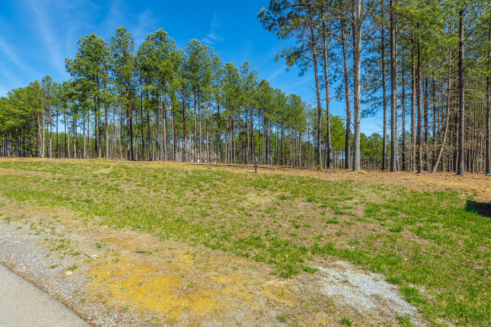 0 Crockett Loop, Unit JF88 Jasper, TN 37347 - Photo 11 of 81 0 Crockett Loop JF88 HD-7