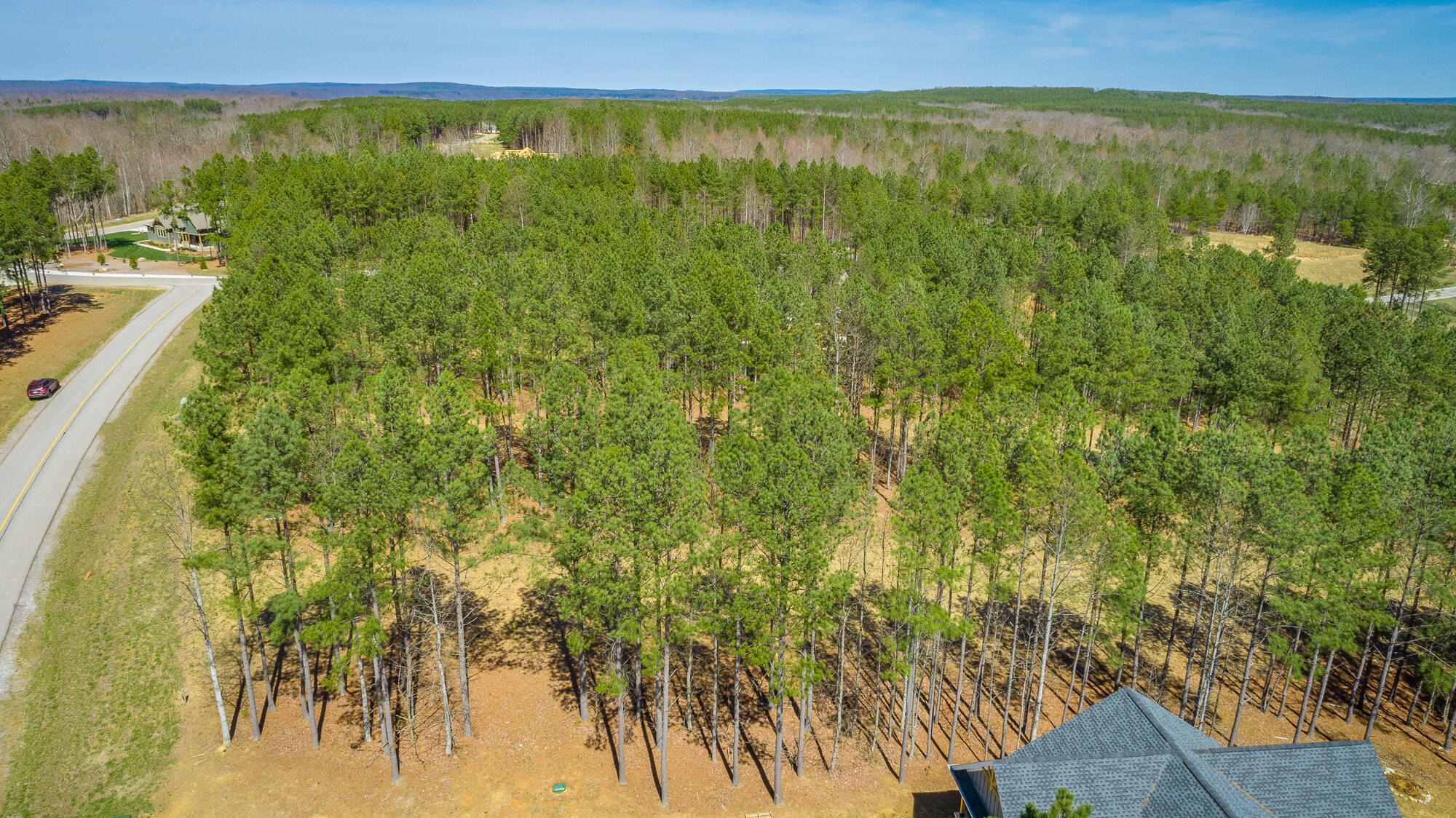 0 Crockett Loop, Unit JF88 Jasper, TN 37347 - Photo 25 of 81 0 Crockett Loop JF88 HD-24