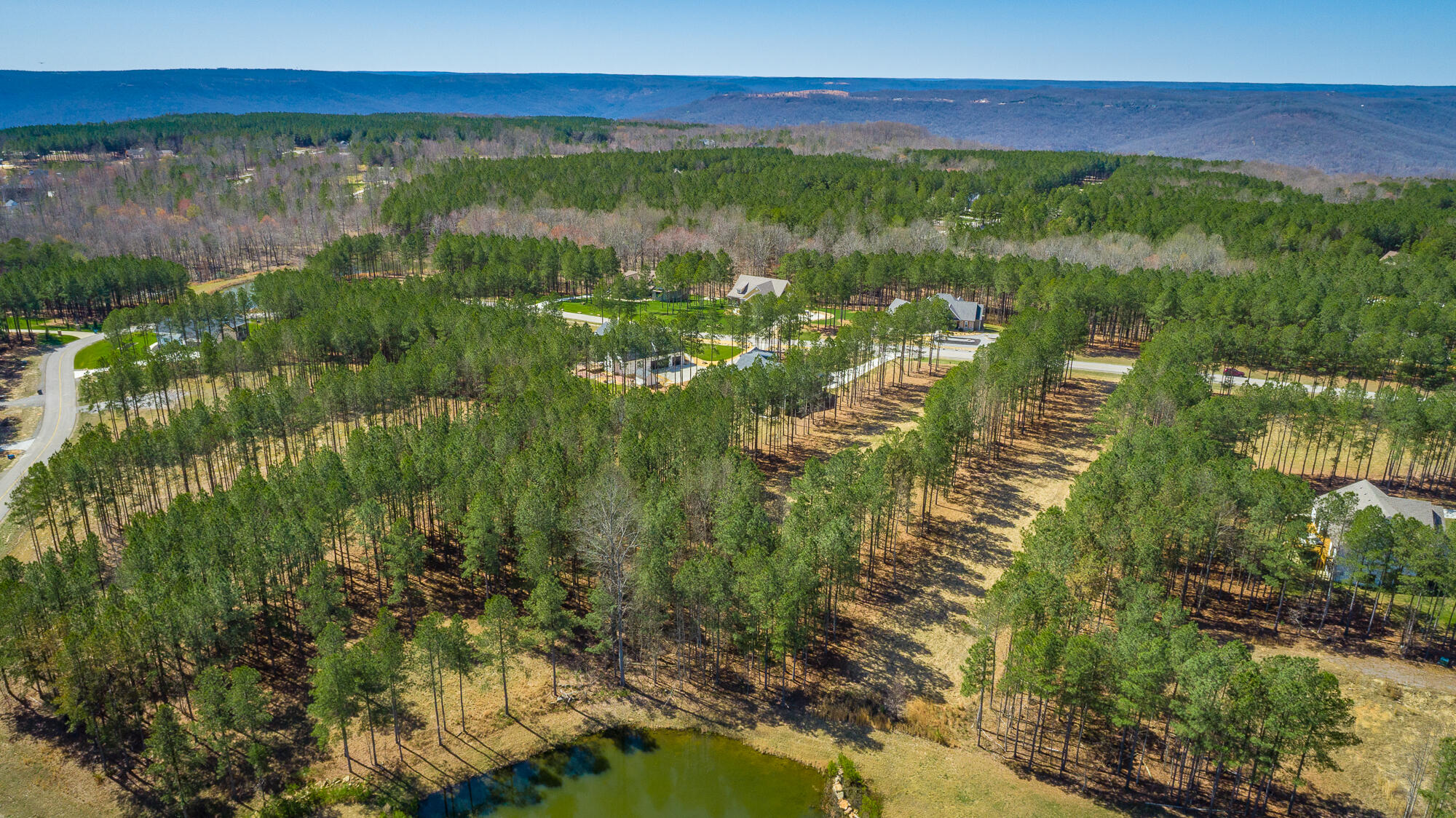 0 Crockett Loop, Unit JF88 Jasper, TN 37347 - Photo 43 of 81 0 Crockett Loop JF88 HD-46