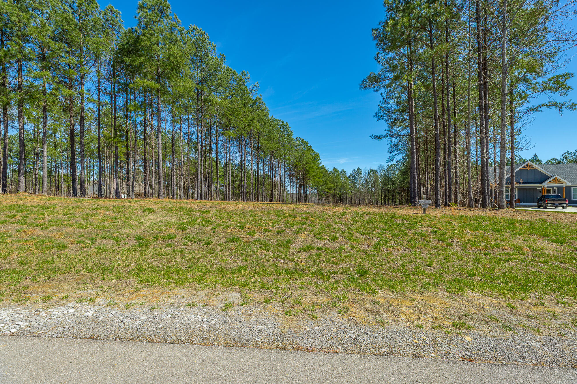 0 Crockett Loop, Unit JF88 Jasper, TN 37347 - Photo 5 of 81 0 Crockett Loop JF88 HD-3