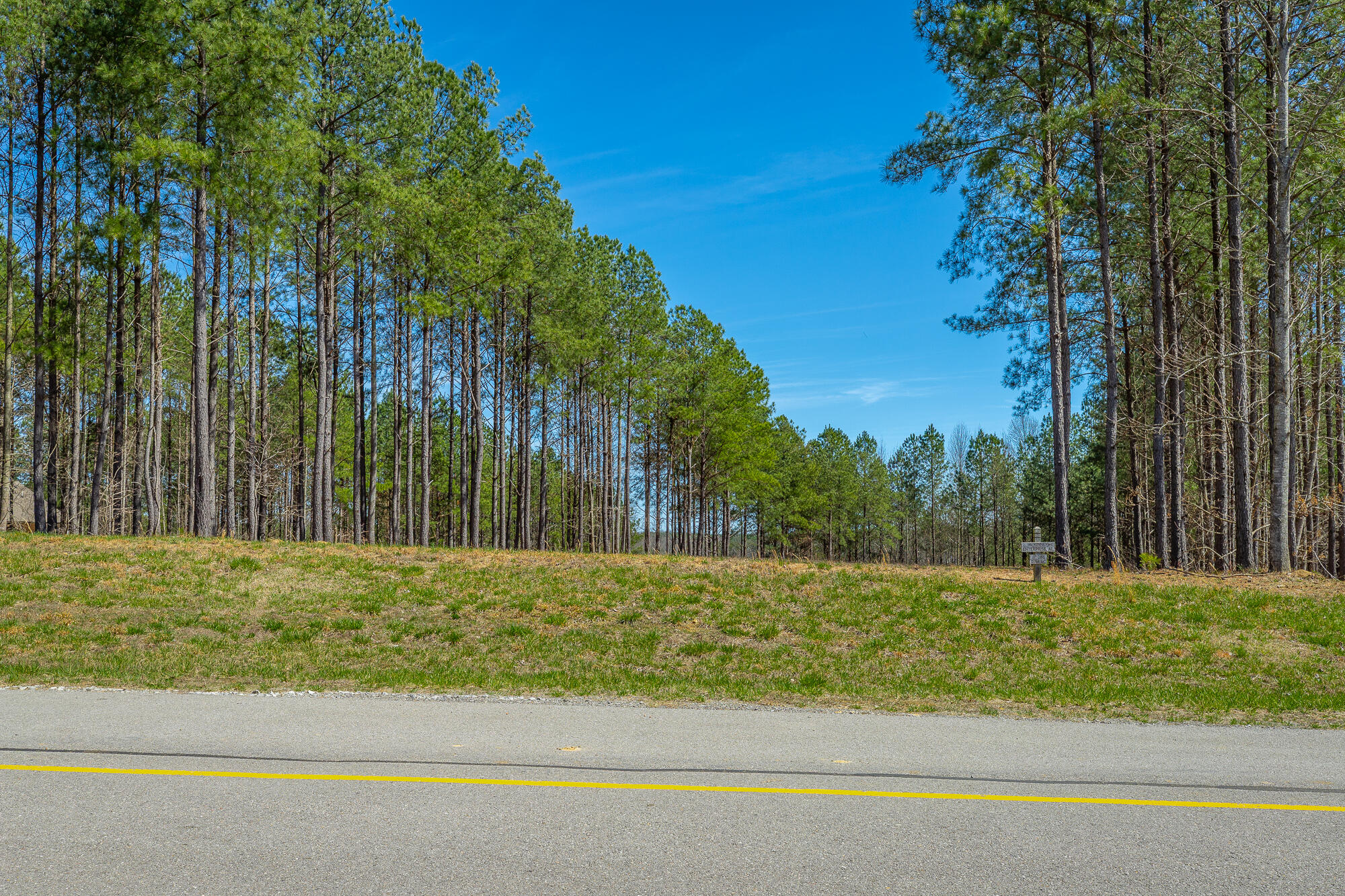 0 Crockett Loop, Unit JF88 Jasper, TN 37347 - Photo 7 of 81 0 Crockett Loop JF88 HD-2
