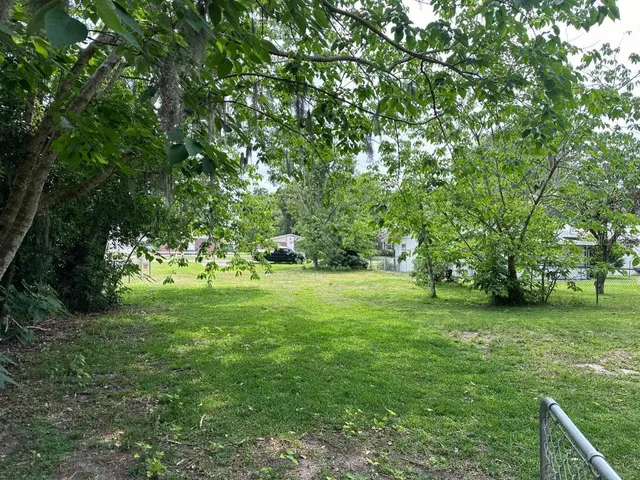 a view of yard with green space