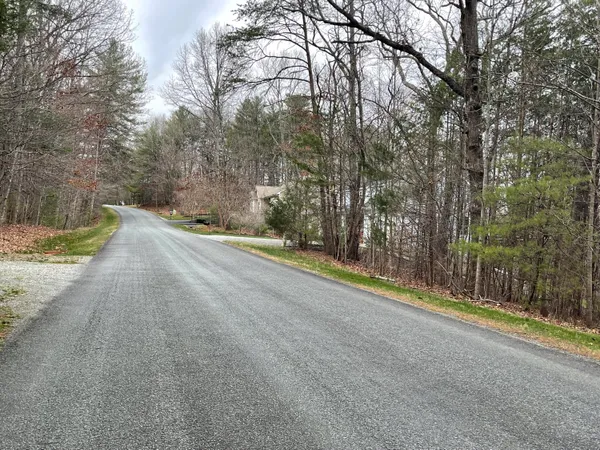 a view of a yard with trees