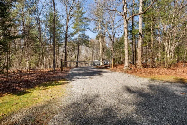 a view of road with large trees