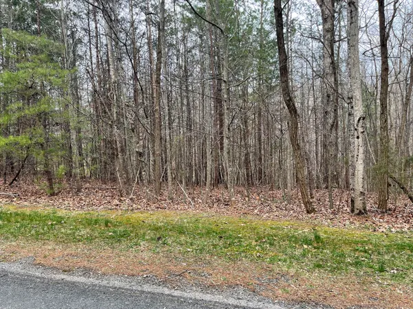 a view of outdoor space with trees