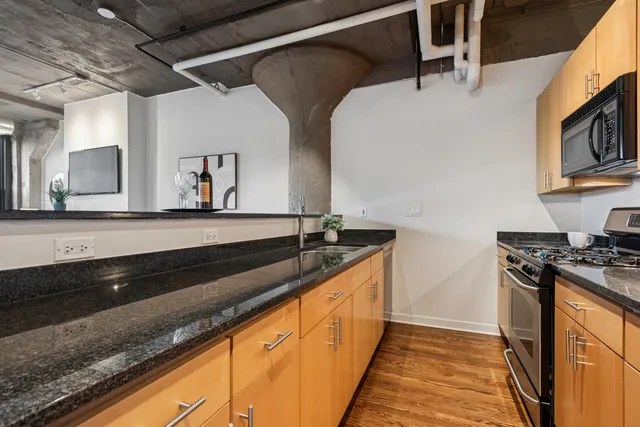 $399,000 | 1151 West 14th Place, Unit 238, Chicago, IL 60608