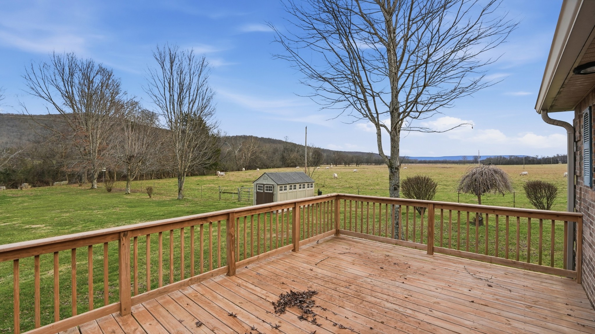 7610 Highway 50 Pelham, TN 37366 - Photo 28 of 46