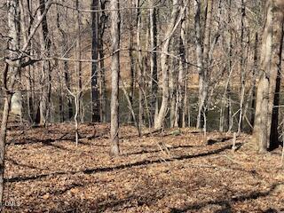 1105 Fontaine Road Roxboro, NC 27574 - Photo 54 of 55 IMG_4107