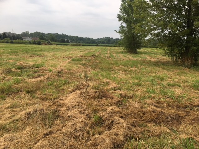 East Chicago Road New Carlisle, IN 46552 - Photo 2 of 3 Gallery Image 2