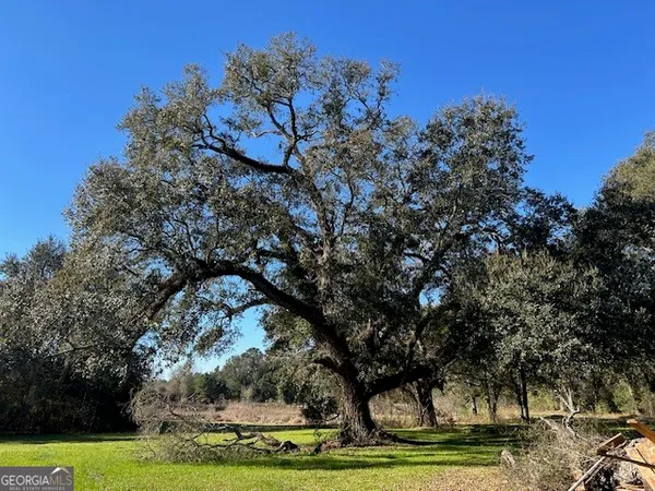 $3,250,000 | 0 Highway 65, Camilla, GA 31730