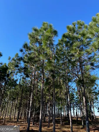 $3,250,000 | 0 Highway 65, Camilla, GA 31730