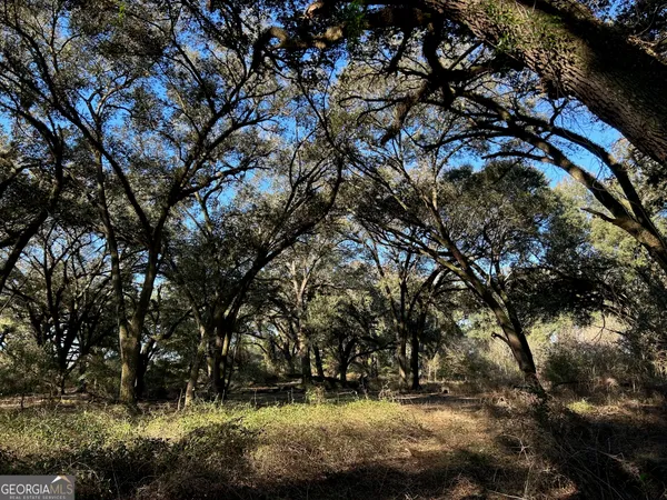 $3,250,000 | 0 Highway 65, Camilla, GA 31730