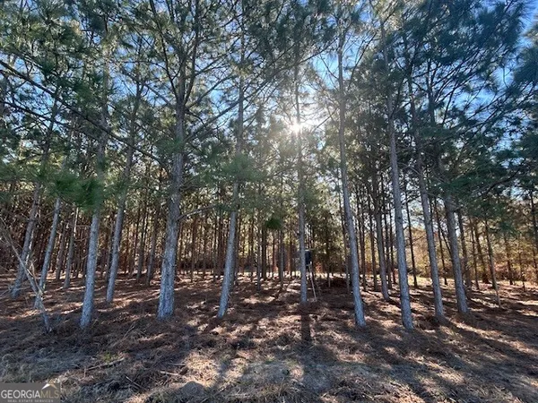 $3,250,000 | 0 Highway 65, Camilla, GA 31730