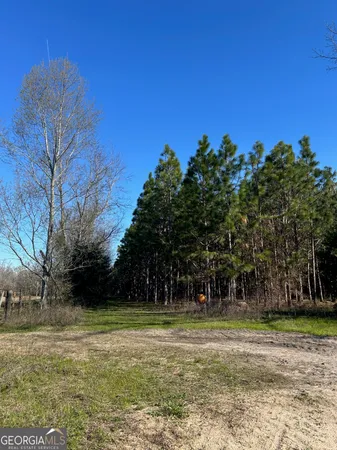 $3,250,000 | 0 Highway 65, Camilla, GA 31730