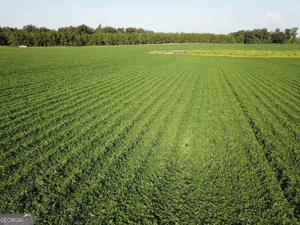 $3,250,000 | 0 Highway 65, Camilla, GA 31730