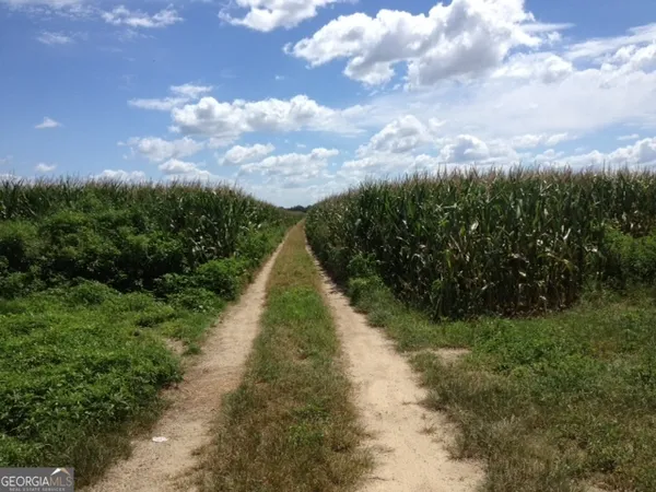 $3,250,000 | 0 Highway 65, Camilla, GA 31730