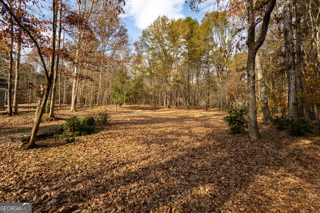a backyard of a house with lots of green space