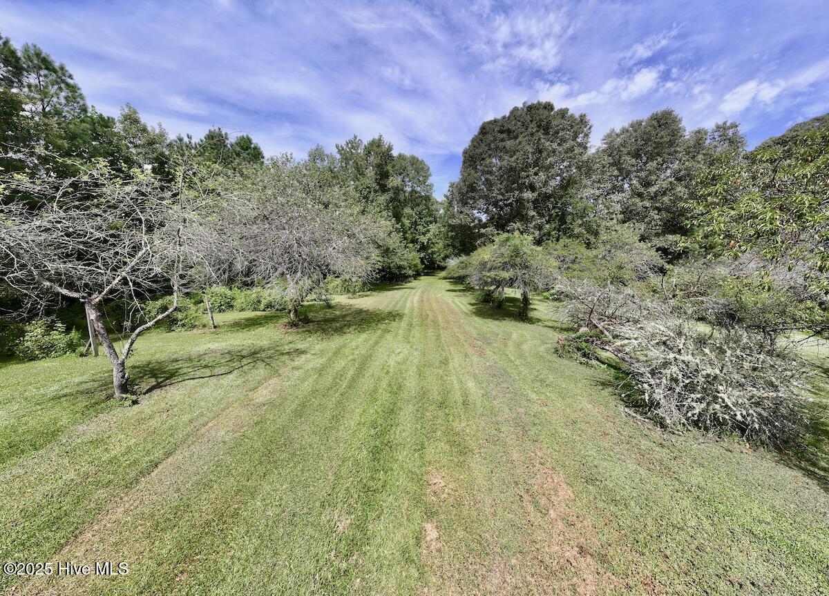 1004 No Bottom Road Warrenton, NC 27589 - Photo 3 of 85 3
