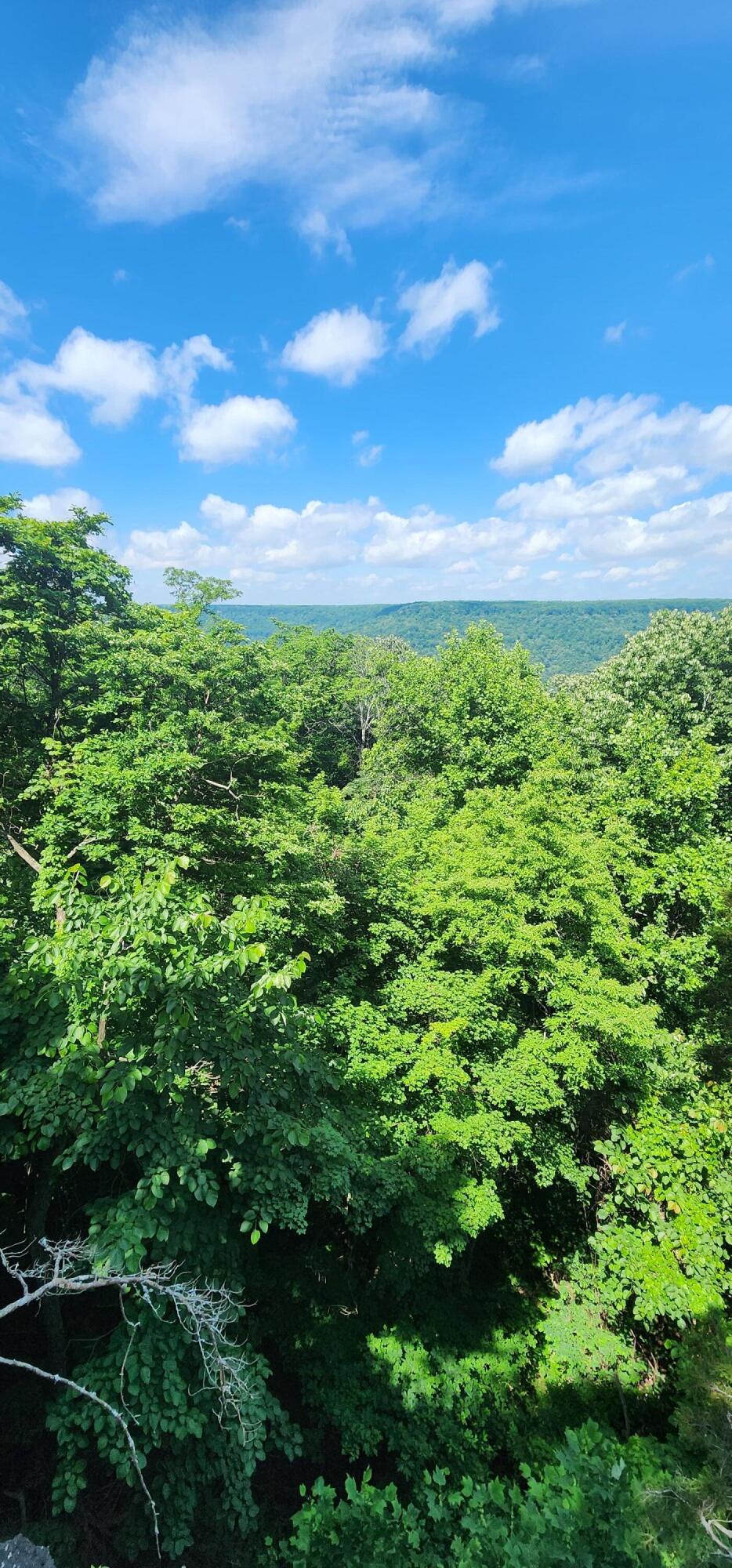 0 Roth Point Road, Unit 5 Altamont, TN 37301 - Photo 26 of 53 1000052009