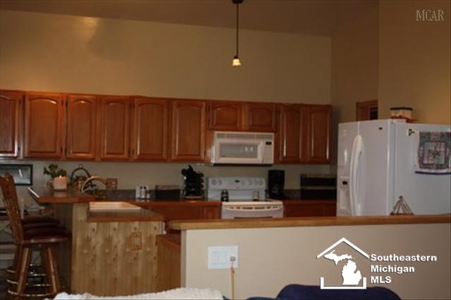 8277 Scofield Road Maybee, MI 48159 - Photo 10 of 14 20003875-9.JPG