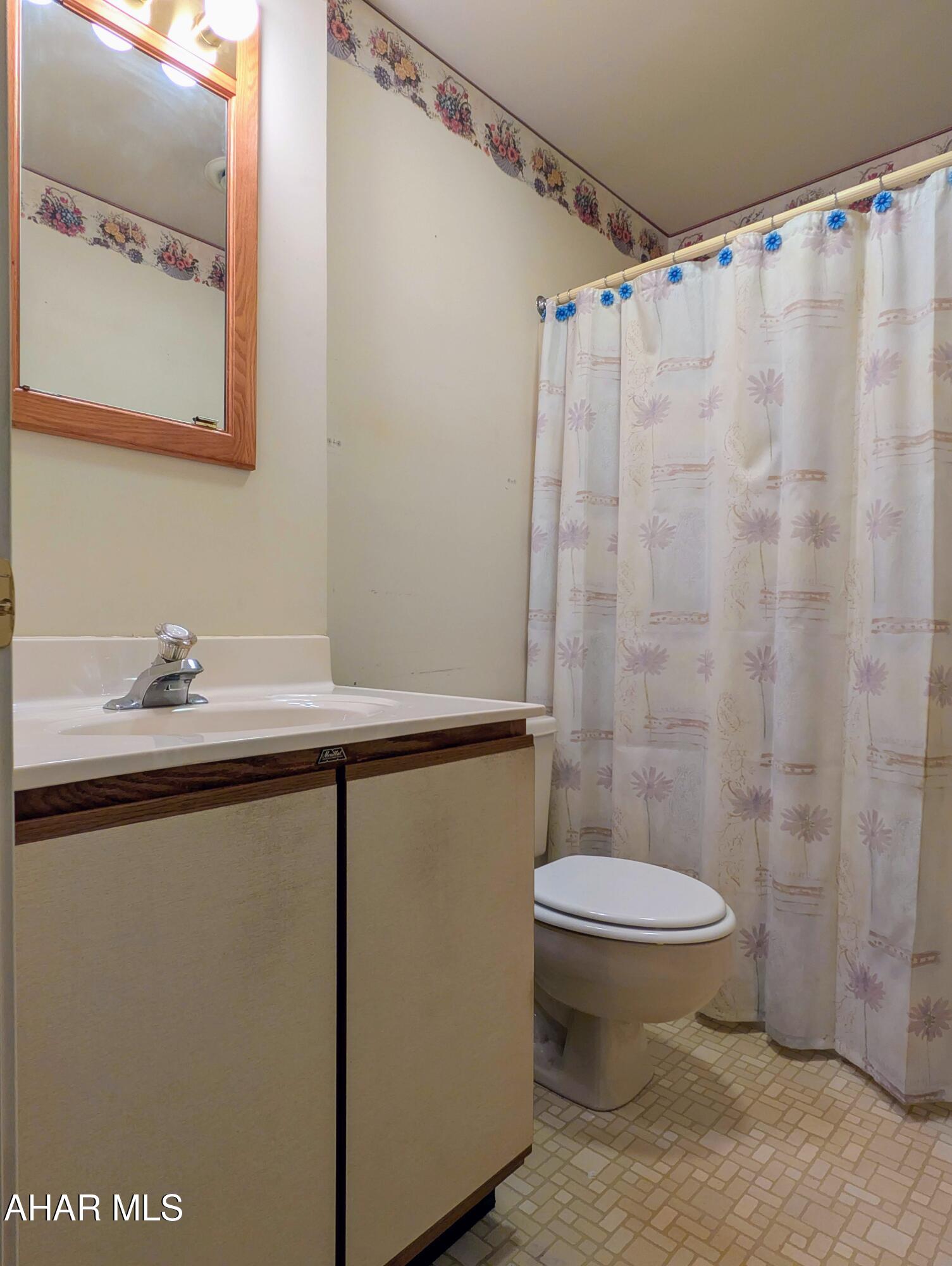 147 Pine Street Hyndman, PA 15545 - Photo 26 of 44 a bathroom with a sink a toilet a mirror and shower curtain