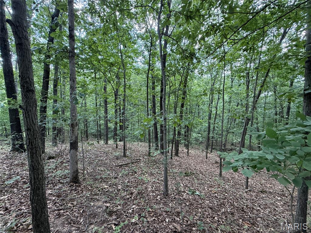 1133 Union School Road Ava, IL 62907 - Photo 30 of 46