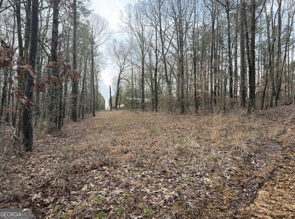 0 Otts Road Fayette, AL 35555 - Photo 4 of 17 a view of a forest with trees in the background