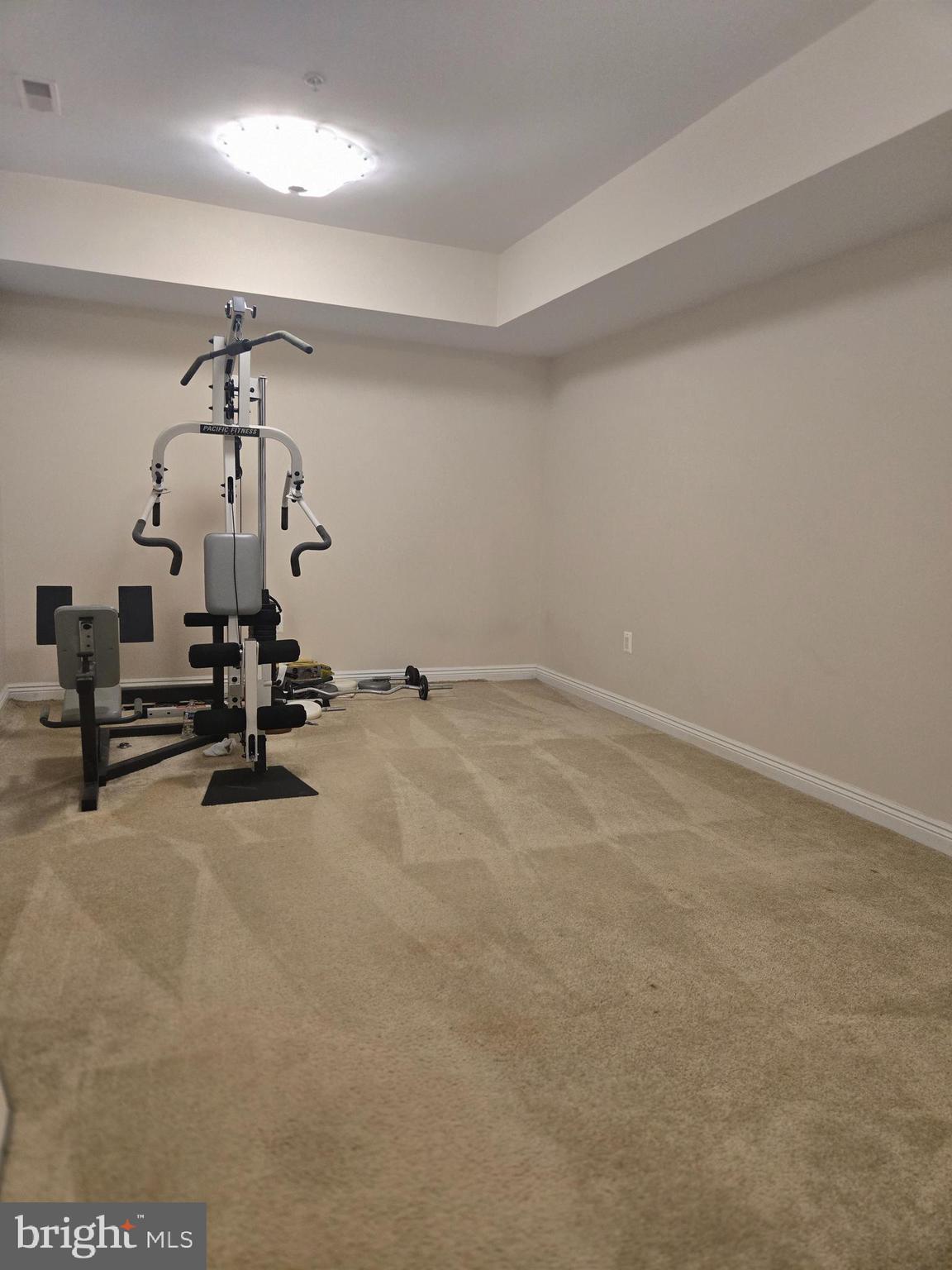 7145 Brooks Road Highland, MD 20777 - Photo 68 of 89 a view of a room with gym equipment