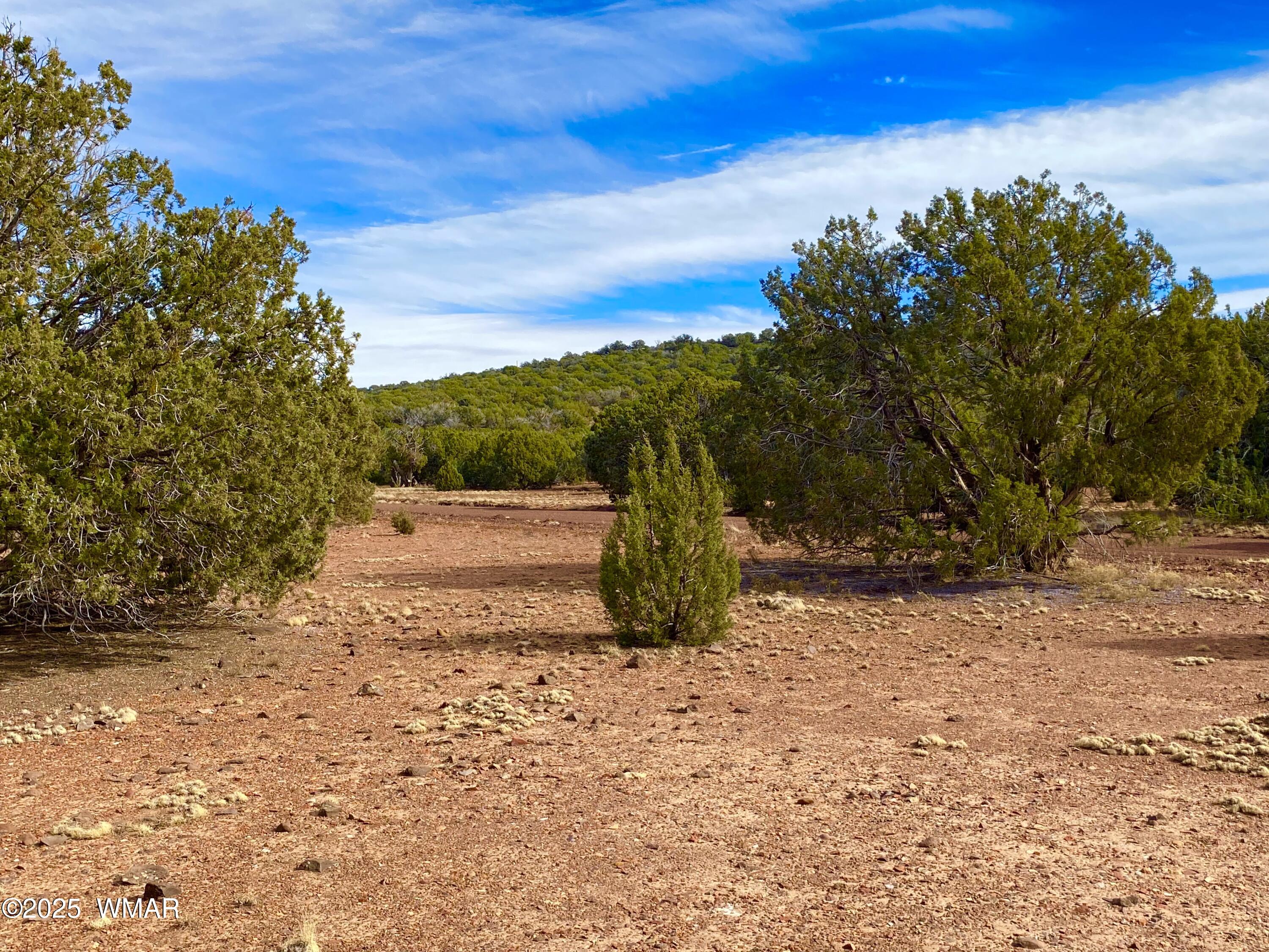 8271 Concho Az 85924 Show Low, AZ 85901 - Photo 11 of 18 a view of a yard with wooden fence